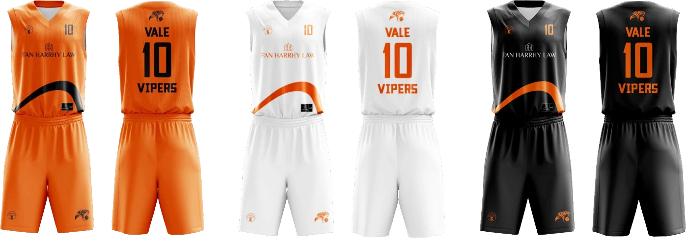 Vale Vipers new kit for the upcoming season Vale Vipers kit